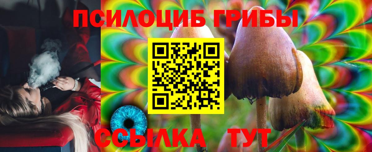 Псилоцибиновые грибы прущие грибы Луховицы