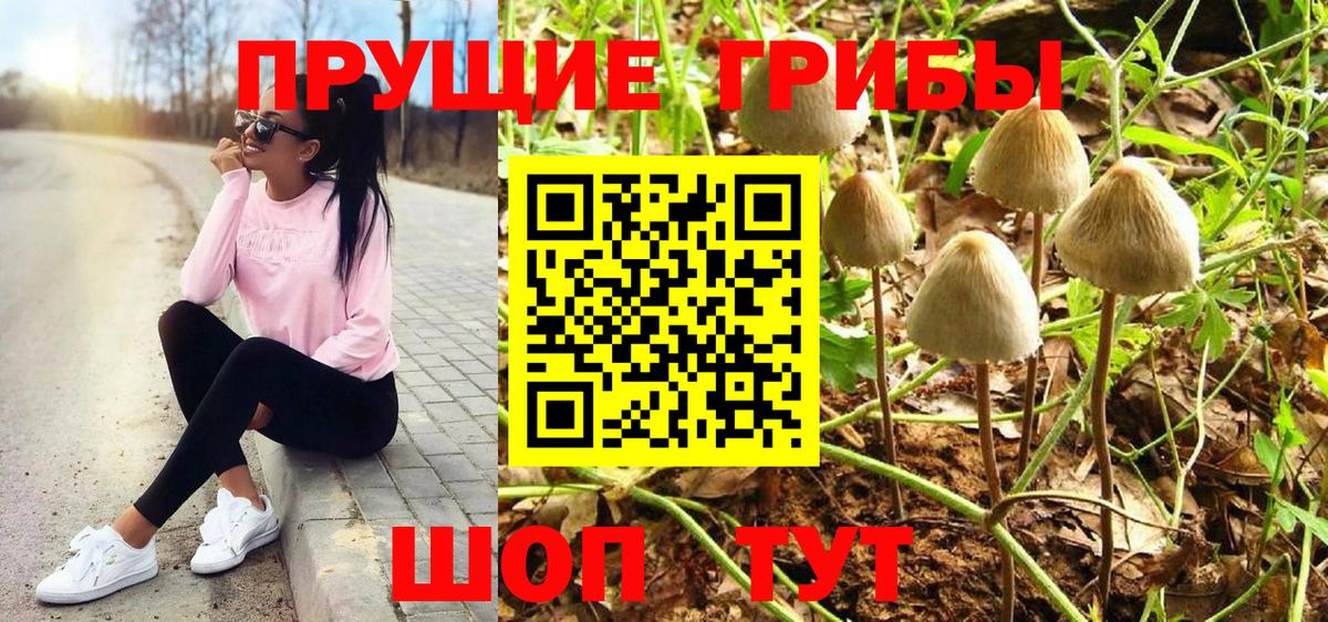 Псилоцибиновые грибы Cubensis  Вход с VPN  Луховицы 